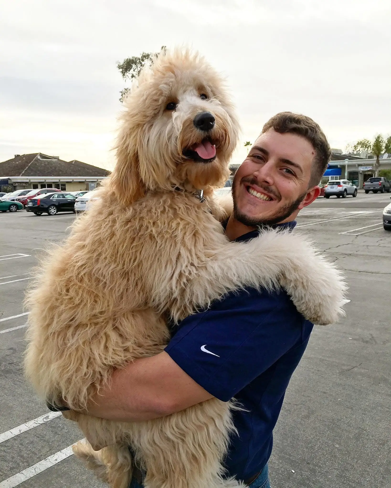 Nathan, the trainer behind Praising Kane Dog Training