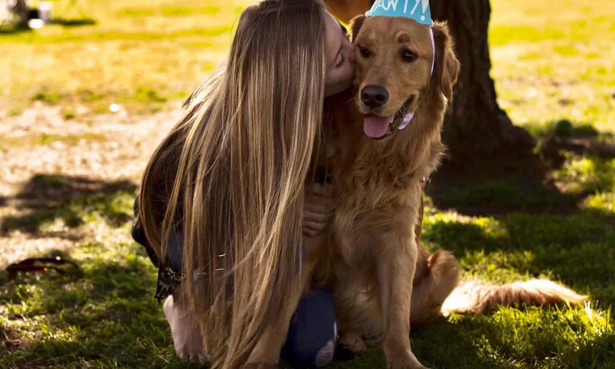 A puppy engaged in a full training session with its owner