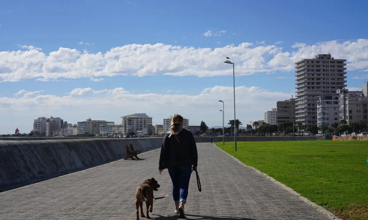 A happy dog owner with their trained dog